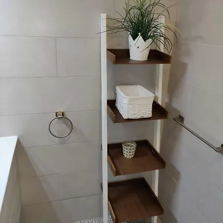 Paraiso Del Sur - Sara Адехе